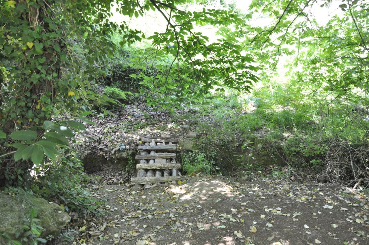 Villa Melissa Tsagarada Bagian luar foto